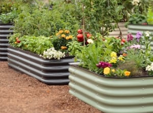 Metal raised bed materials in black and green, different sizes, with different vegetable and flowering crops in the garden, showing how to fill a short raised bed
