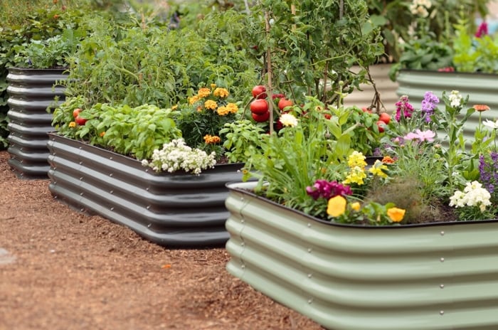 Metal raised bed materials in black and green, different sizes, with different vegetable and flowering crops in the garden, showing how to fill a short raised bed