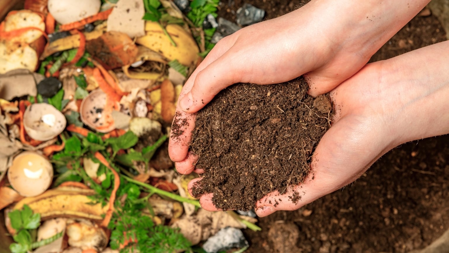 How to Tell If Your Compost is Ready To Use: 5 Expert Tips