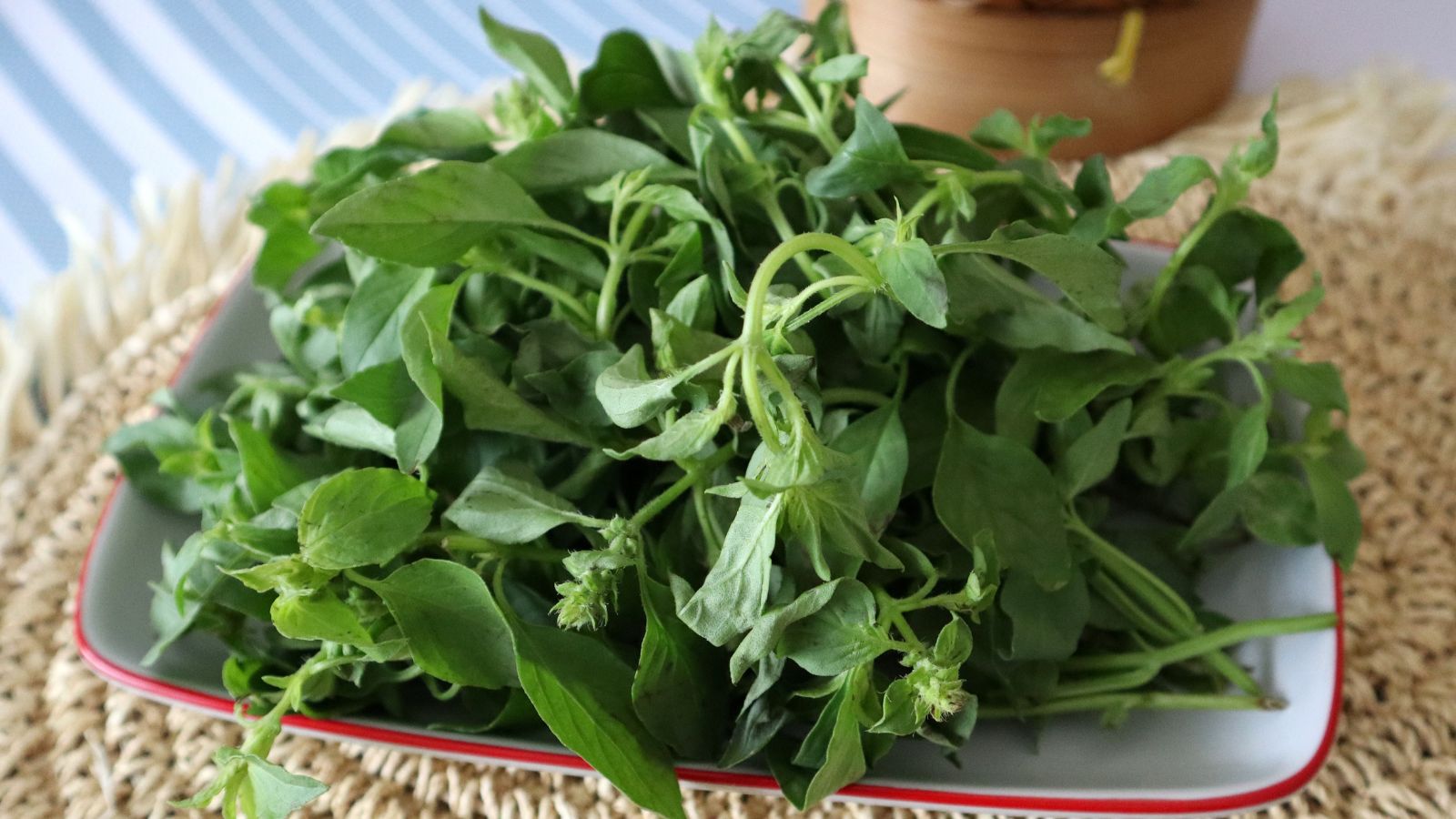 A close-up shot of freshly harvested leaves of an herb placed on a plate indoors
