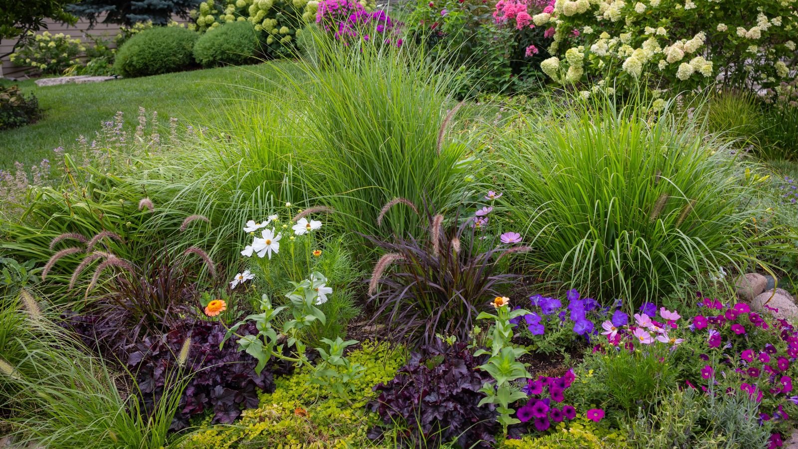 A shot of a composition of plants and flowers in a yard area