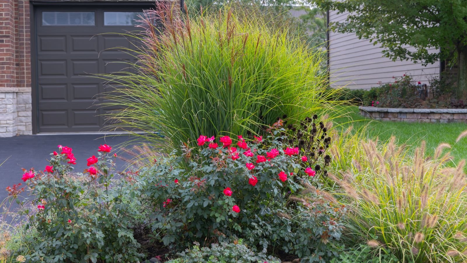 A shot of several plants and flowers near a driveway and a house in a well lit area outdoors