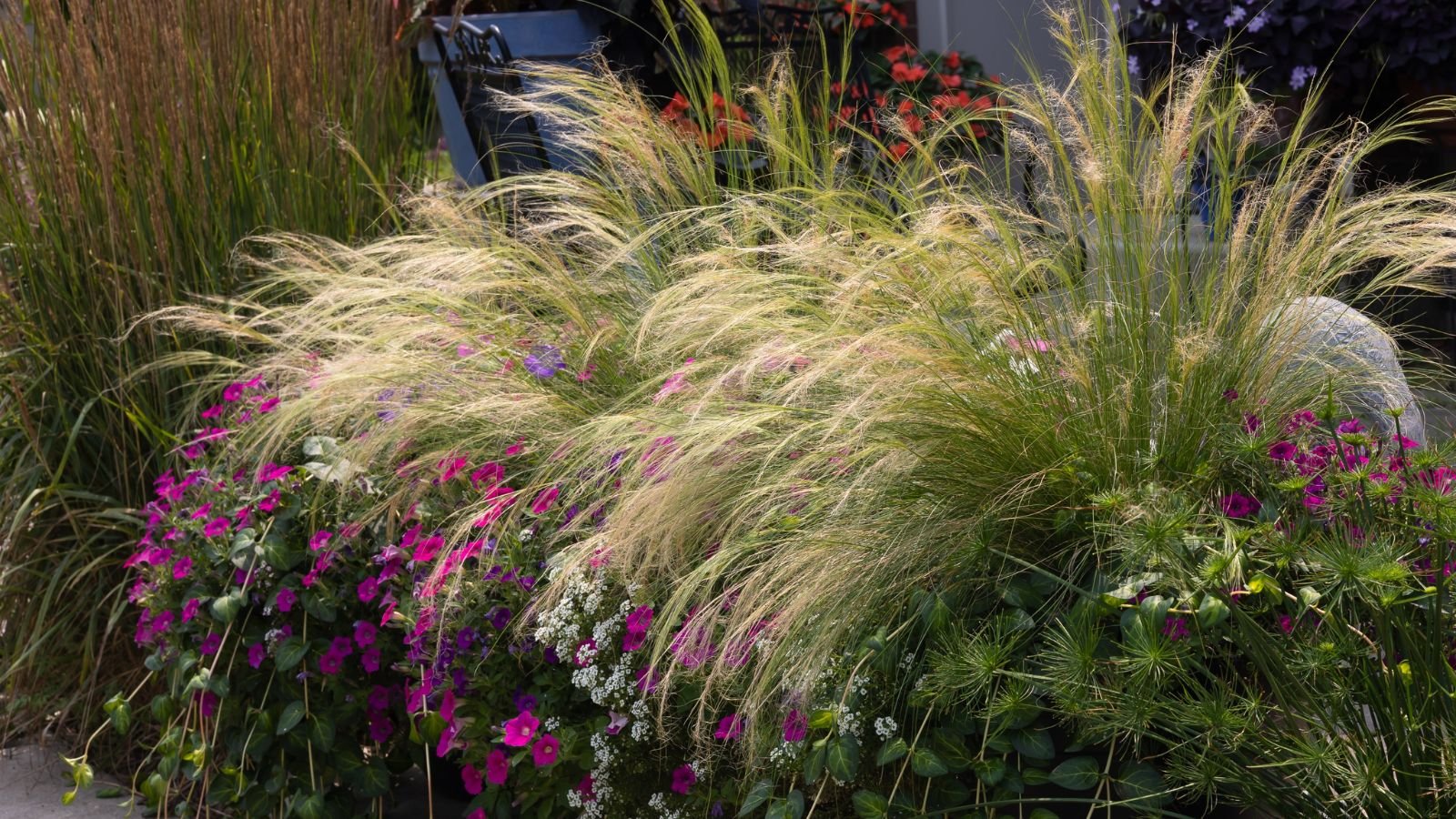 A shot various flowers and plants near a house in a yard area outdoors