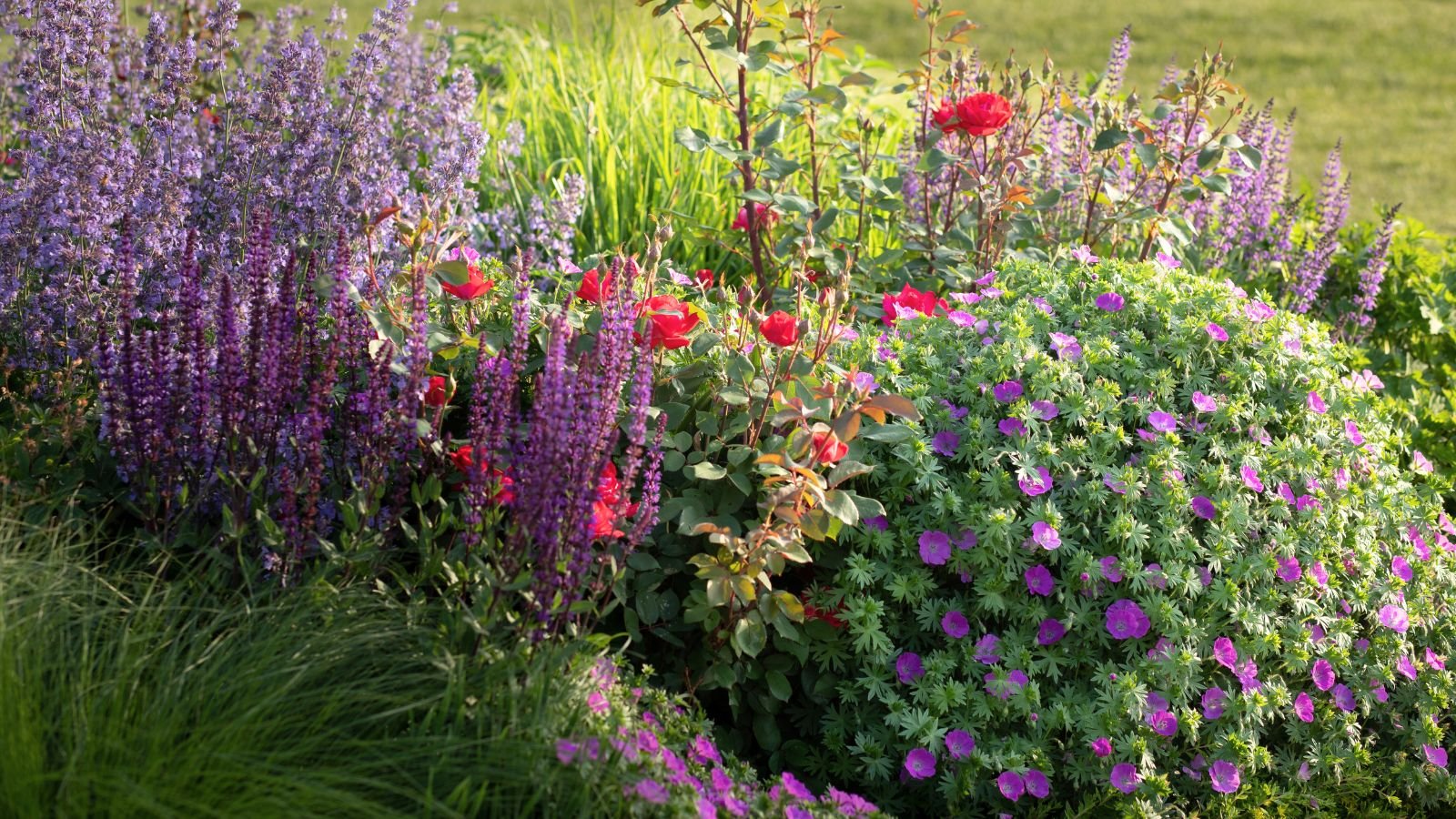 An overhead shot of a composition of various perennial flowers and plants placed in a wel llt area