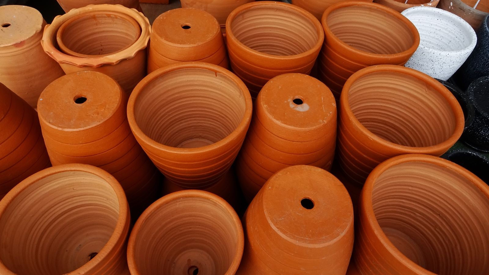 An overhead shot of several containers, some turned upside down showcasing their drainage hole, all sitauted in a well lit area