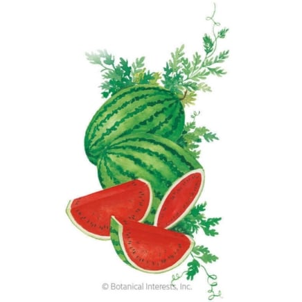 Crimson Sweet Watermelon Seeds