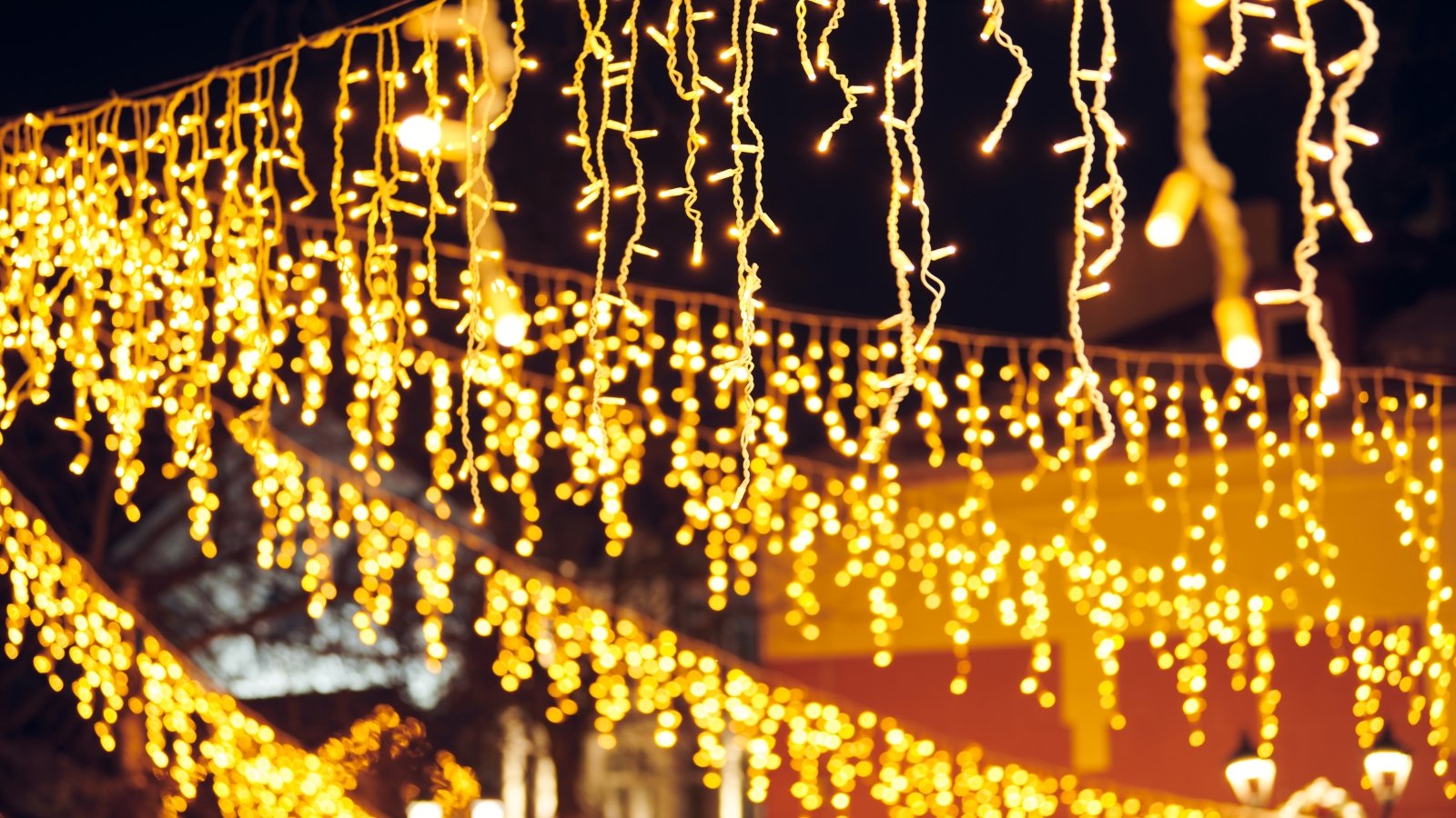 Flickering lights of hanging garlands with warm yellow light hang in the night garden.
