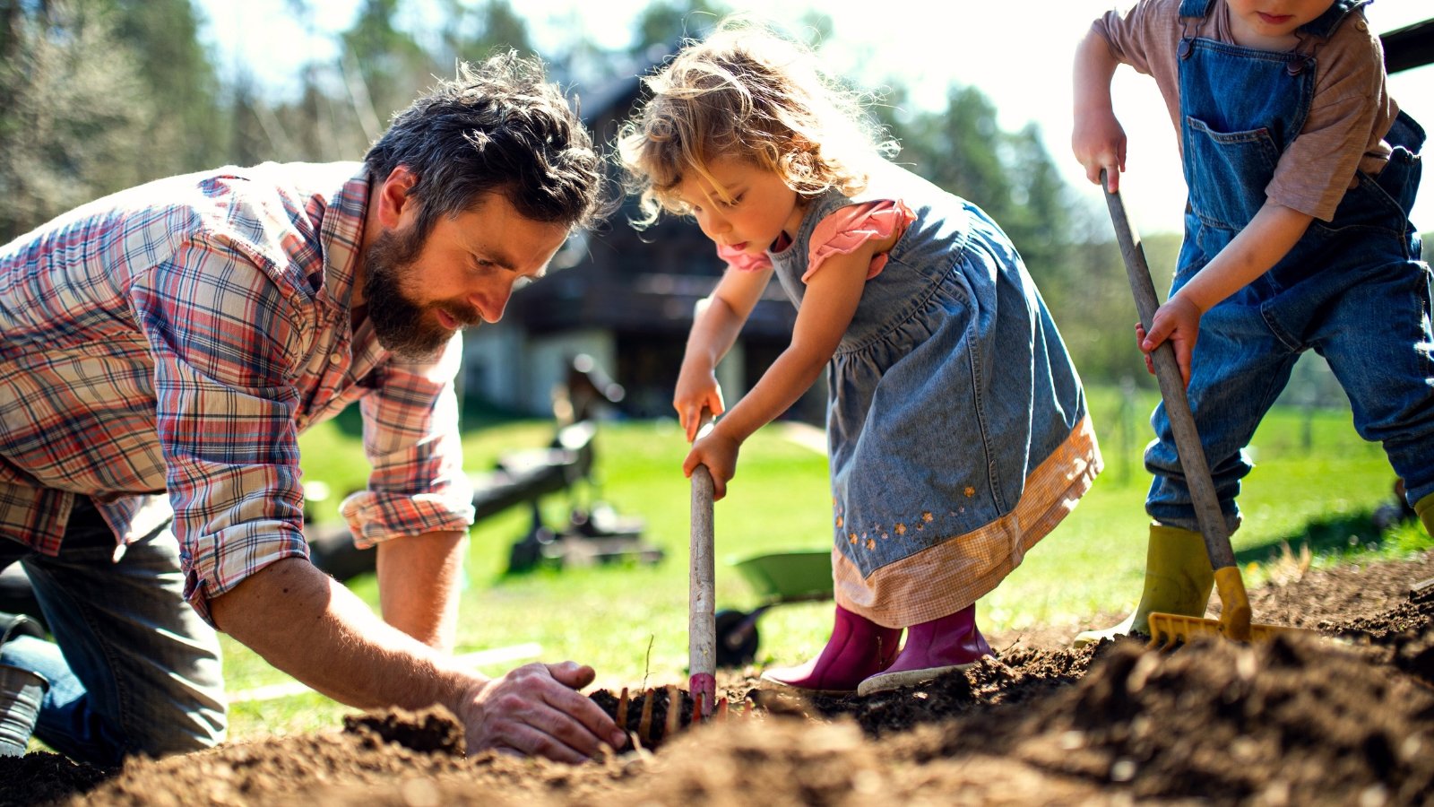 Father's Day gardening gifts. A father in a plaid shirt checks the soil in a bed that his two children, a girl and a boy, are raking in a sunny garden.