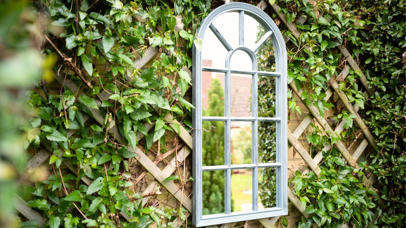 Antique window-shaped mirror mounted on wooden trellises with climbing vines bearing glossy green leaves.