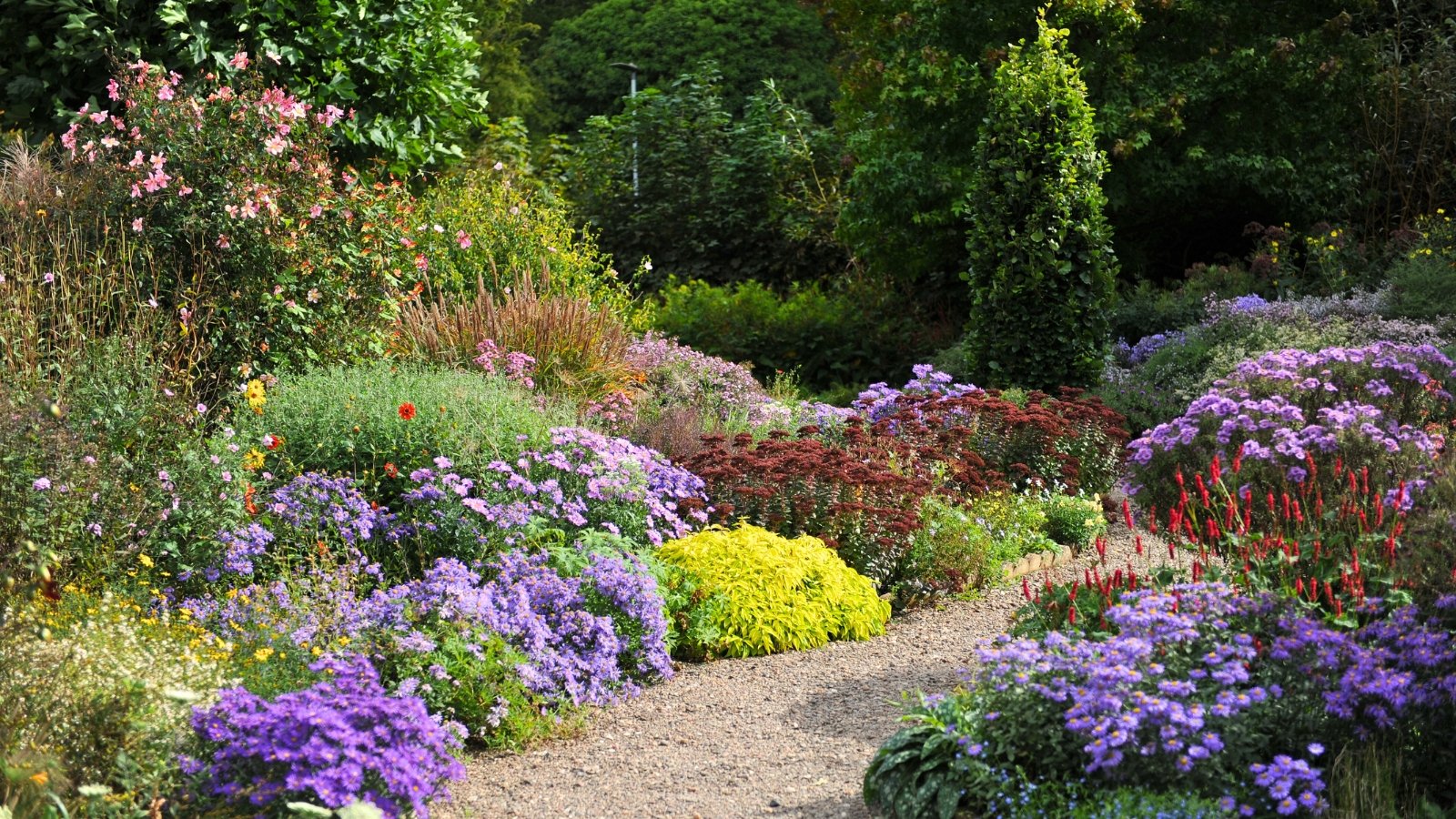 Layering garden landscape with a variety of flowering groundcover plants, perennials, shrubs, and trees.