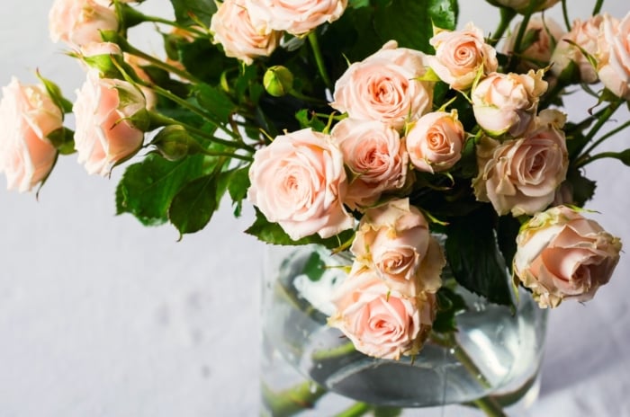 Close up of a fresh bouquet of cut roses with delicate peach blossoms in a glass vase with water to prolong their last.