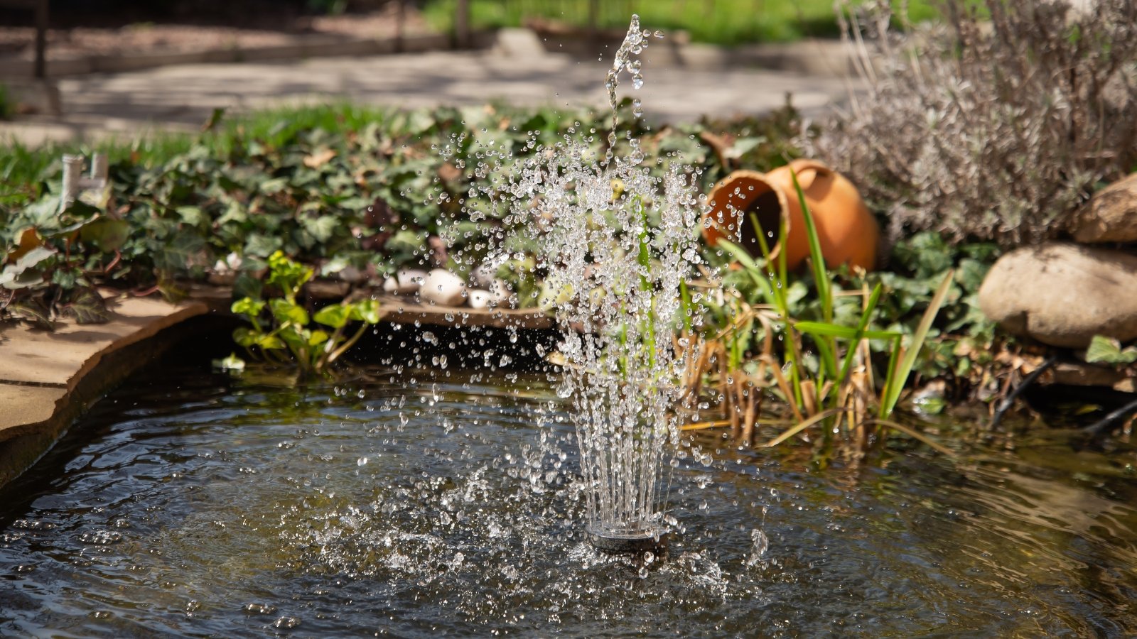 A small fountain in a small artificial lake in a sunny garden, surrounded by decorative stones, low-growing and ground cover plants, and a clay pot.