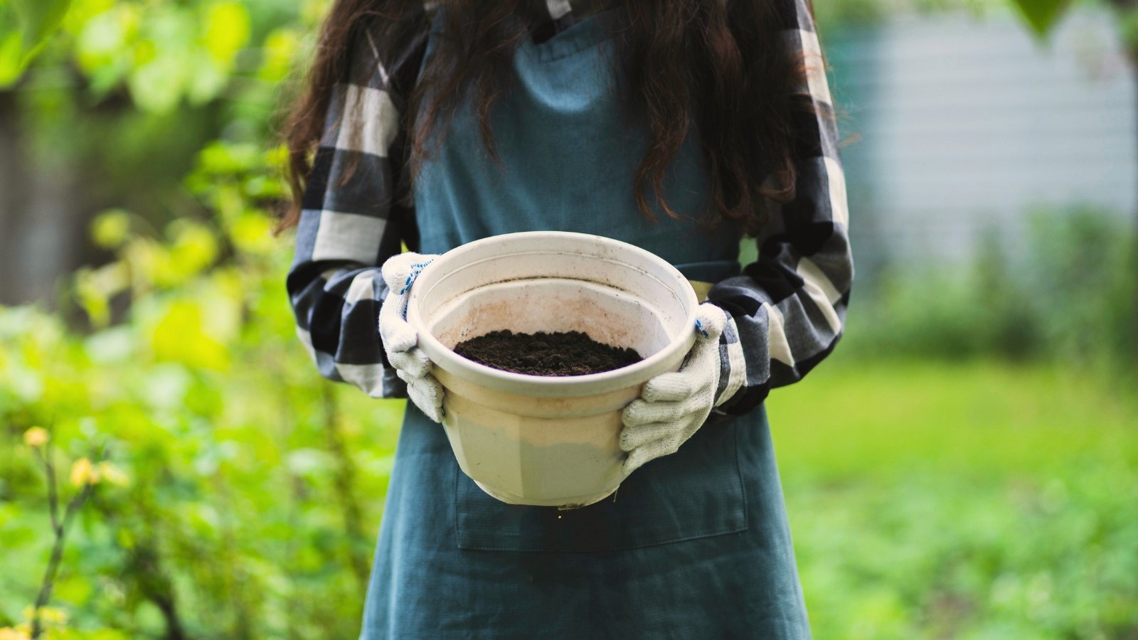 A woman in a blue apron and white gloves holds a large white plastic pot full of fresh soil in her hands in a garden.