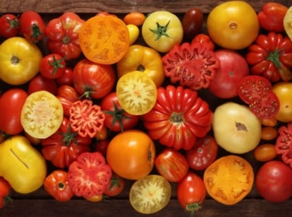 A close-up and overhead shot of a tray filled with several varieties of large fruits, showcasing the biggest tomato varieties