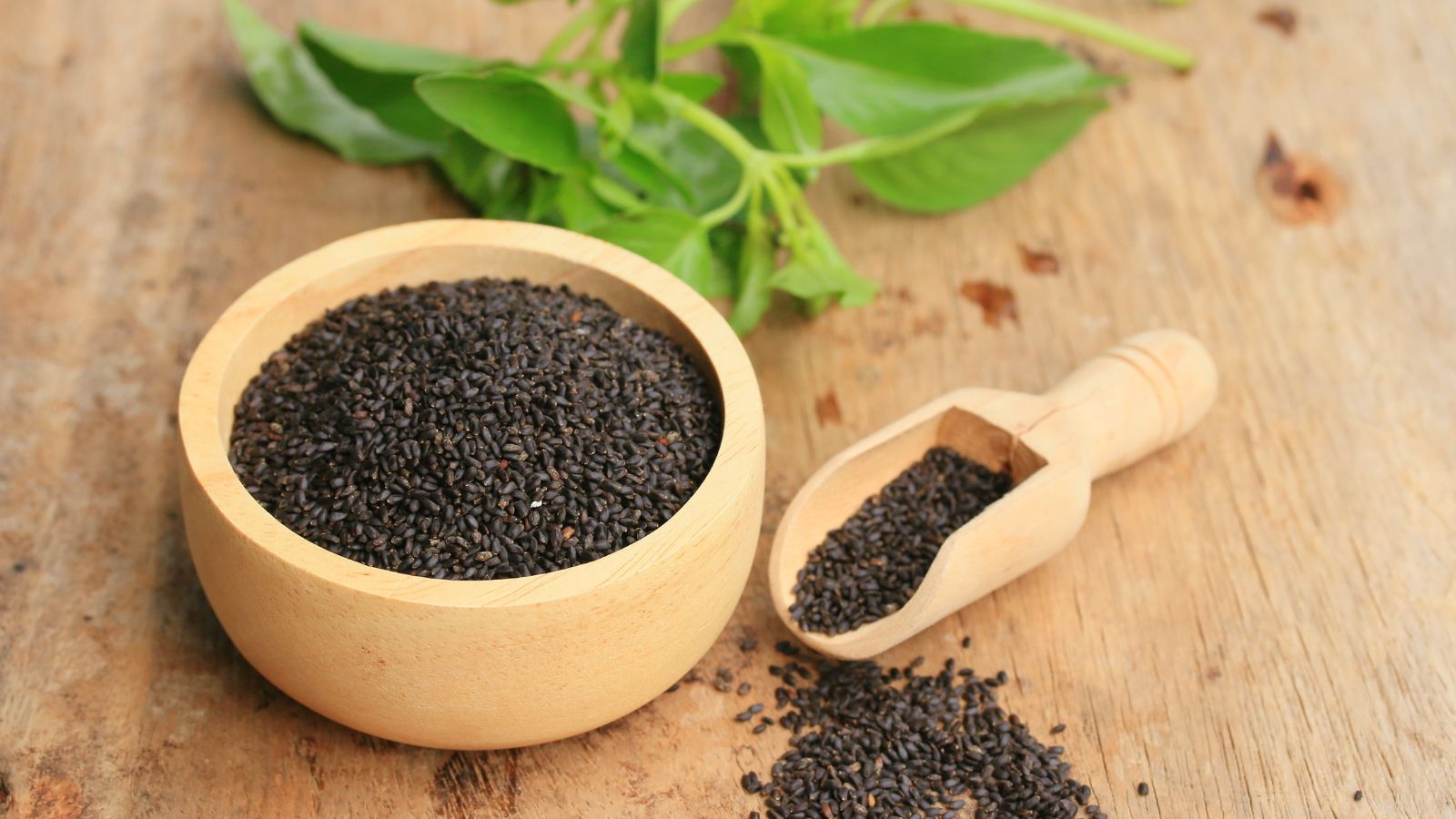 How to Harvest and Save Your Own Basil Seeds