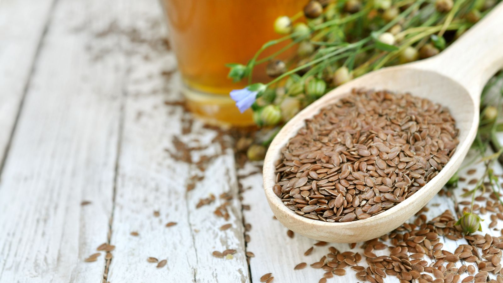 How and When to Harvest Flaxseed