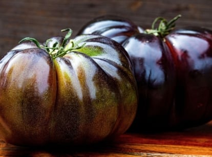 A close-up shot of several freshly harvested fruits, showcasing black purple tomato varieties