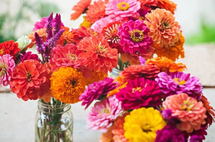 A close-up shot of various cuttings of flowers placed in jars with water, showcasing how to cut zinnia for bouquets