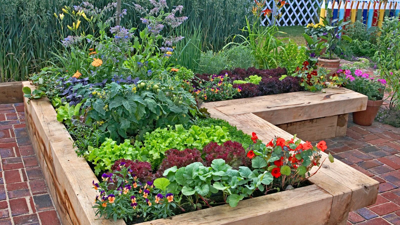 A close-up shot of various foliage and flowers, all growing in a large raised bed, showcasing a variety of edimental plants