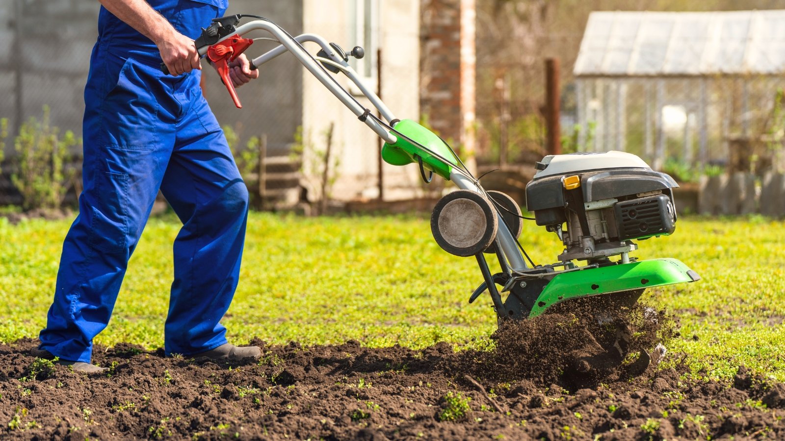 A farmer in blue overalls tills the soil in a garden bed using a large green tiller.