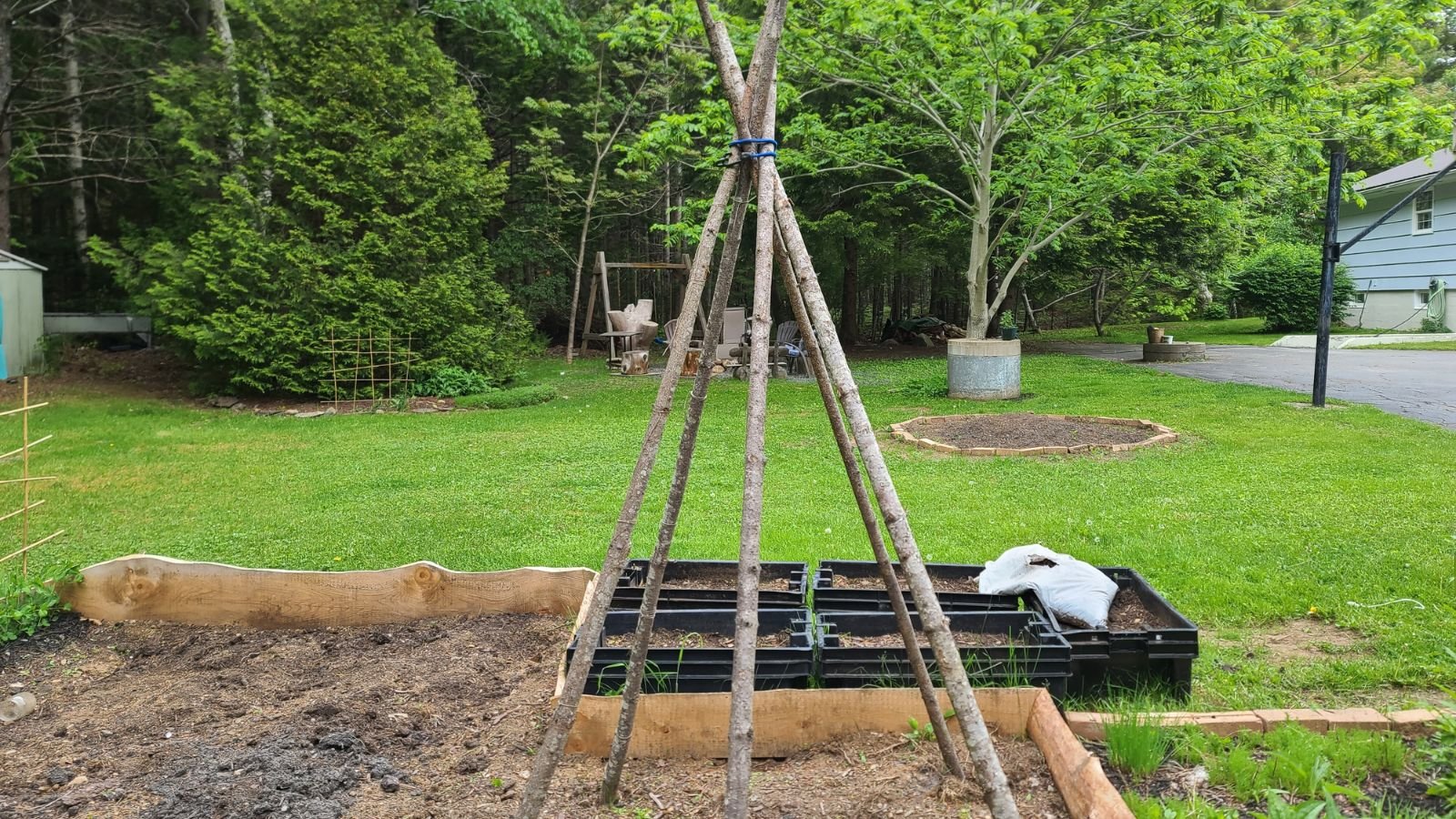 A shot of a large wooden trellis in a garden bed outdoors