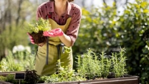 How To Start A Simple Herb Garden 7 Beginner Tips