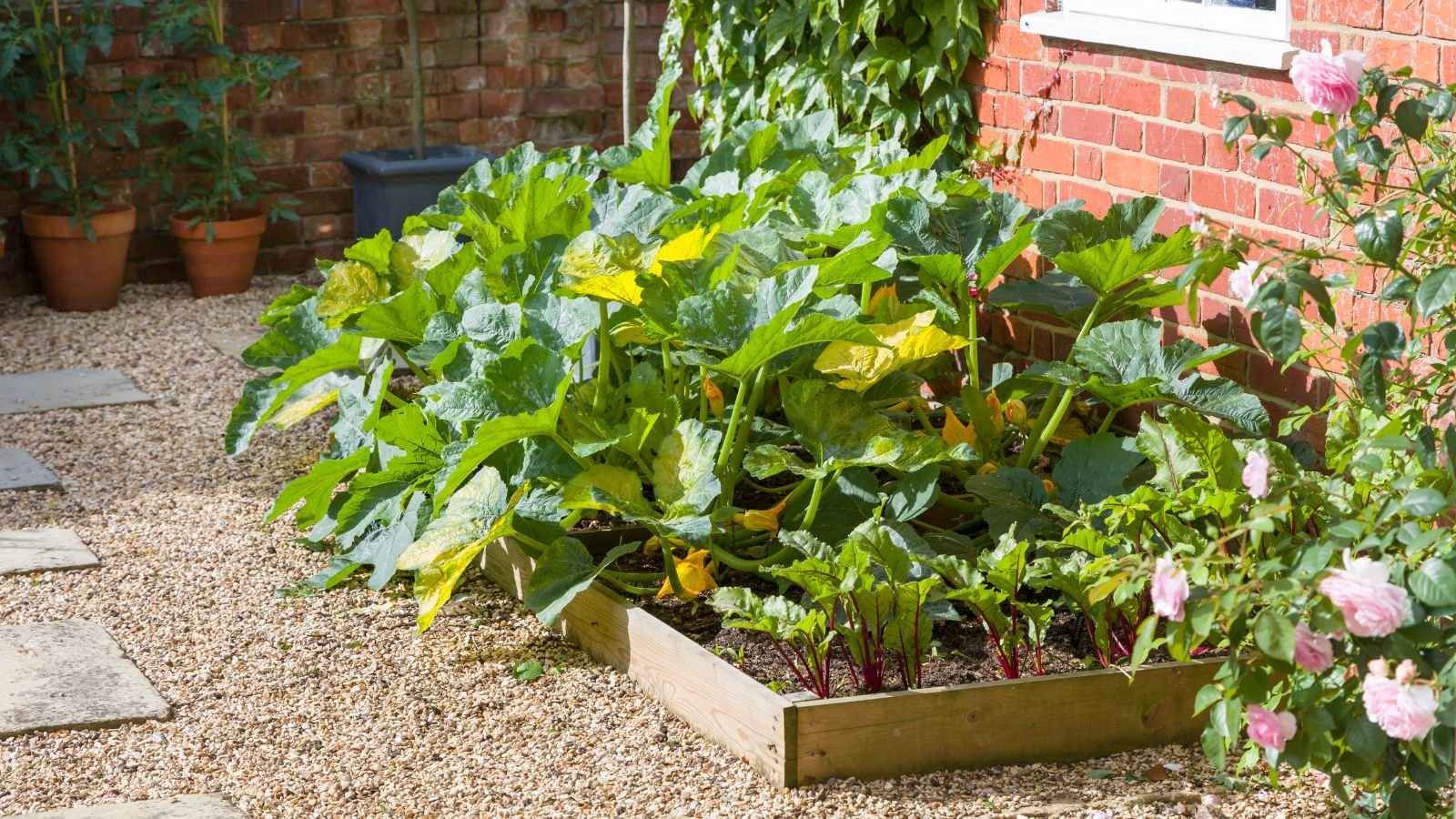 An area in a garden with summer solstice crops placed in garden beds under the sunlight