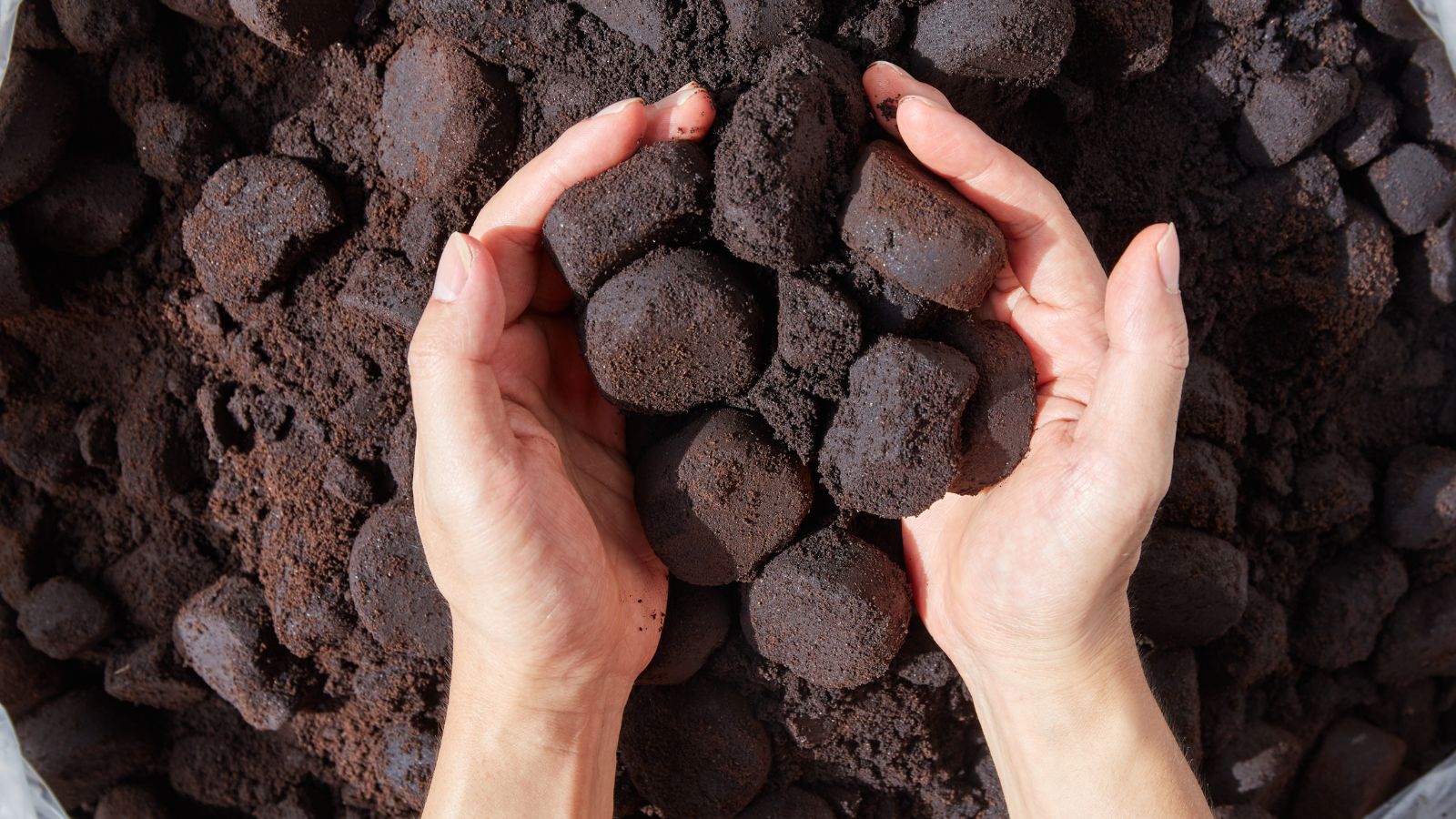 An overhead shot of a person's hands holding a pile of drink sediments in a well lit area