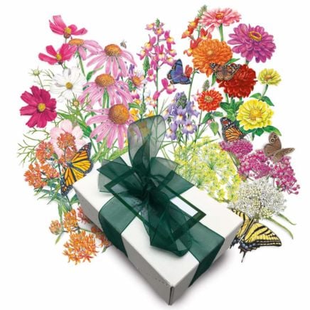 Butterfly Banquet Gift Set