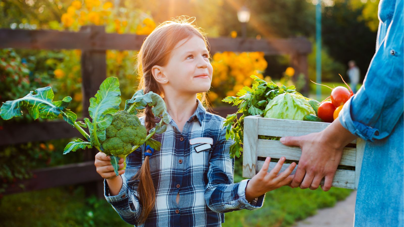 Gardener summer solstice, holding a box of crops while facing a little girl holding a piece of produce
