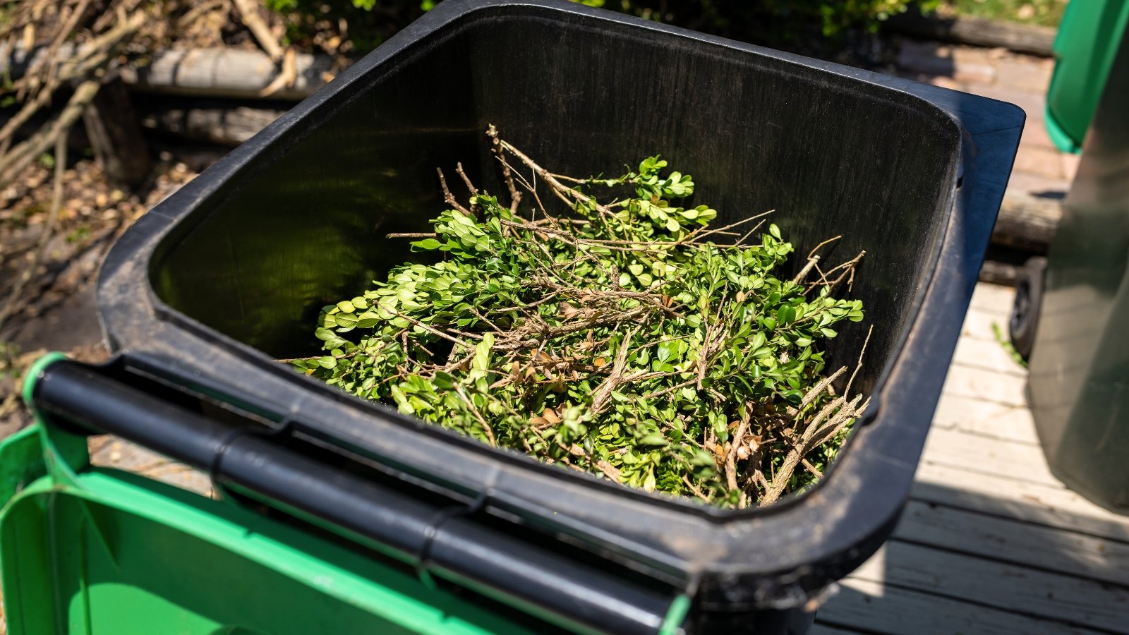 Close-up of a compost bin filled with green garden waste such as freshly cut grass, leafy trimmings, and small branches.