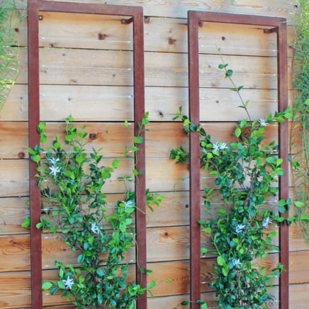 Ina Wall Trellis Large