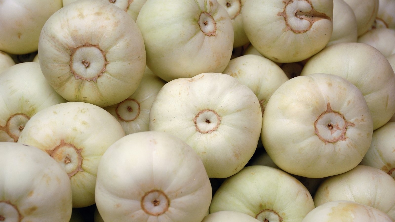 A pile of small, round melons with smooth, white skin and delicate ribbing, close-up.