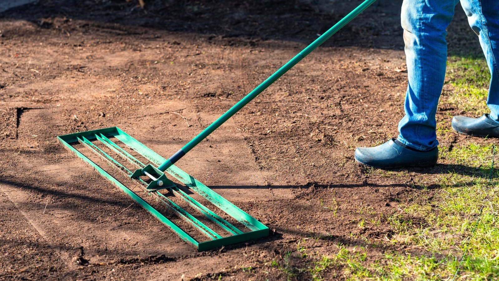 A man uses a lawn rake to level soil on a patchy lawn with brown and green grass.