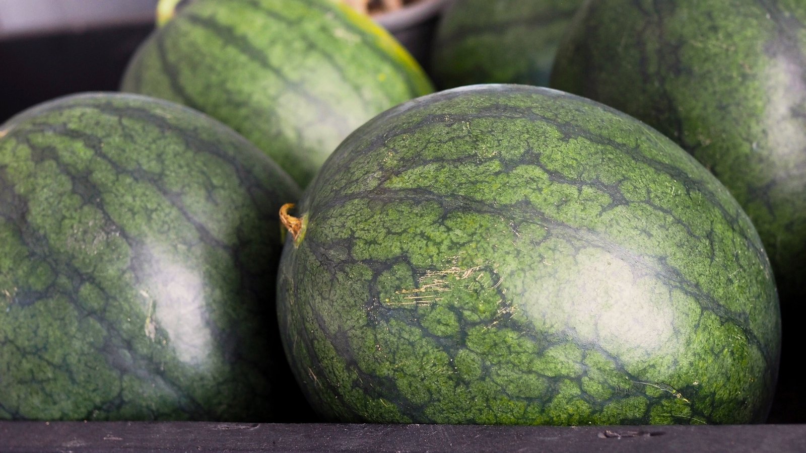 Round, deep green watermelons with subtle striping sit snugly in a wooden box.