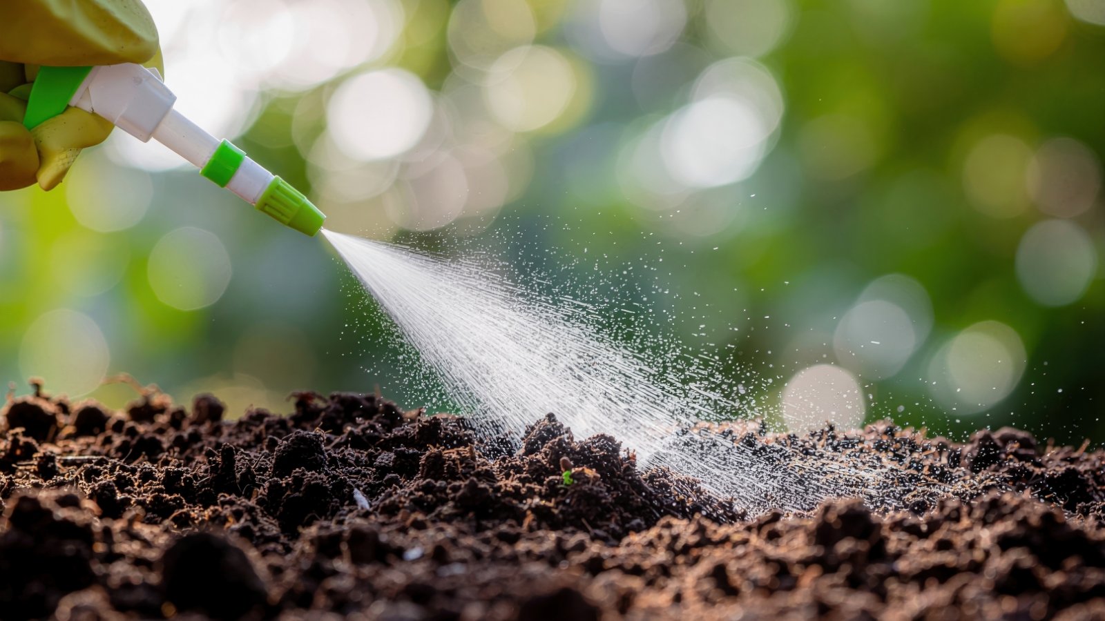 Close-up of water spraying loose dark brown soil from a sprayer on a blurred green background.
