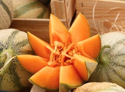 Wooden boxes hold ripe, fast-growing melons with pale green, netted, ribbed rinds, one cut open to reveal vibrant orange flesh above the others.