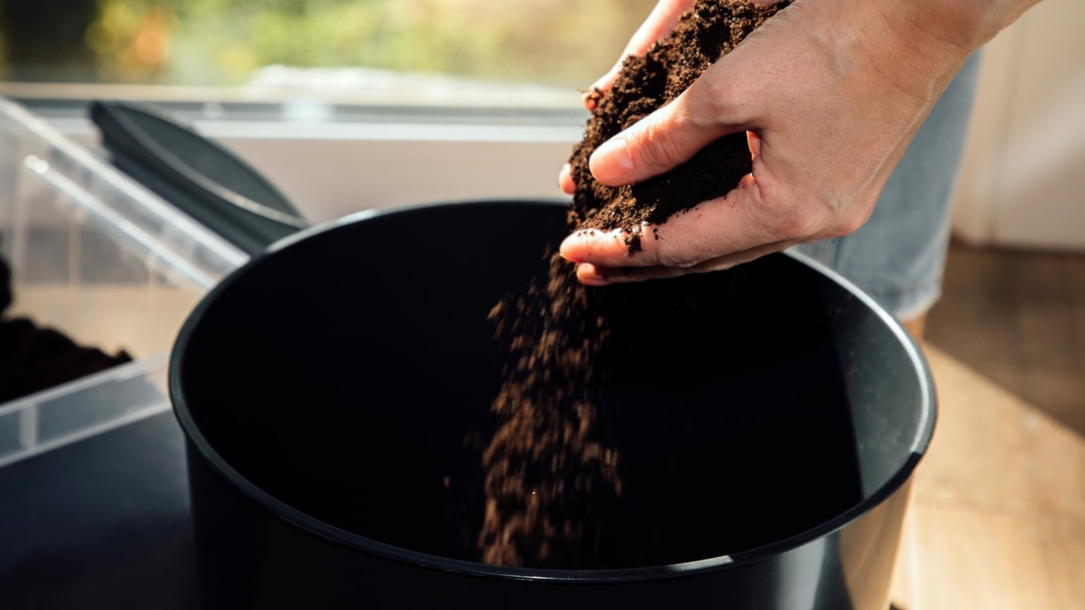 The Perfect Potting Mix Recipe for a Blooming Christmas Cactus