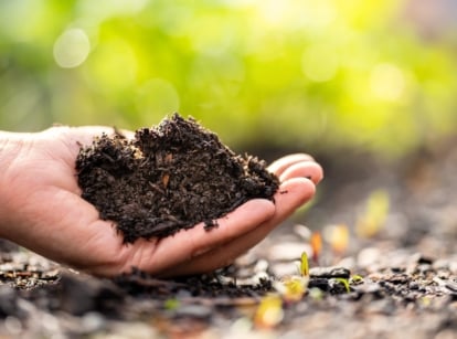 Close-up of a gardener's hand holding a handful of fresh, wet black compost for fast soil improvement.