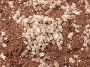 Small dark wool pellets scattered across the soil surface, contrasting with the earth’s texture and ready to enrich the bed.