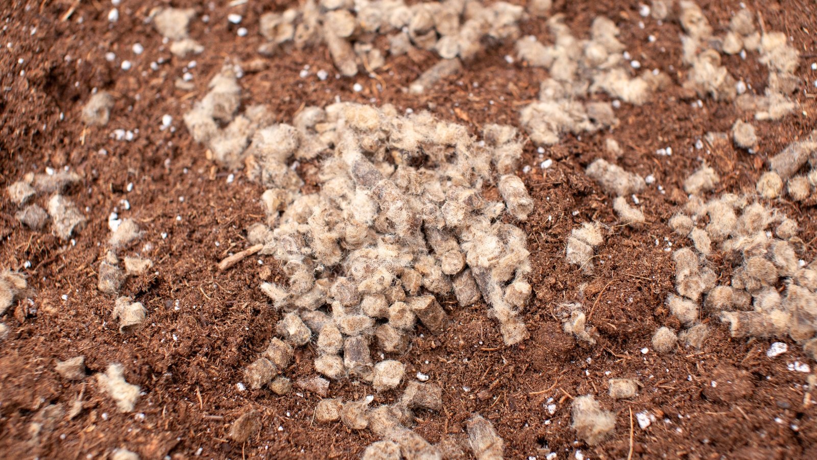Small dark wool pellets scattered across the soil surface, contrasting with the earth’s texture and ready to enrich the bed.