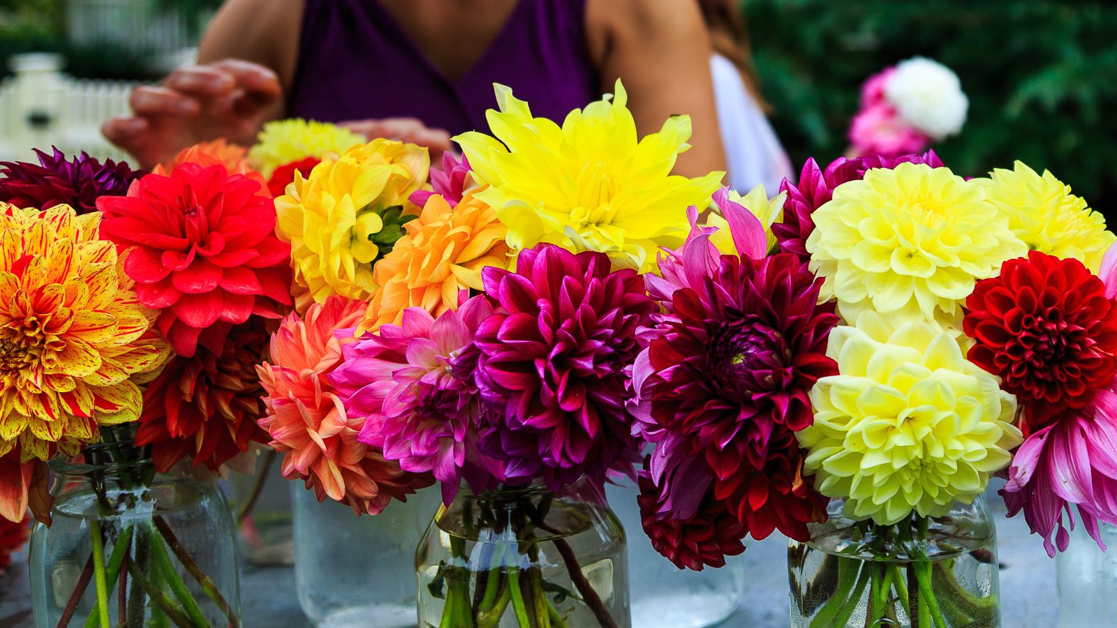 A close-up shot of a composition of vibrant blooms on glass containers filled with water placed in a well lit area outdoors