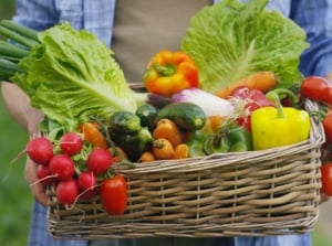 A close-up shot of a person holding a wicker basket filled with freshly harvested crops, showcasing when to plant fall garden crops
