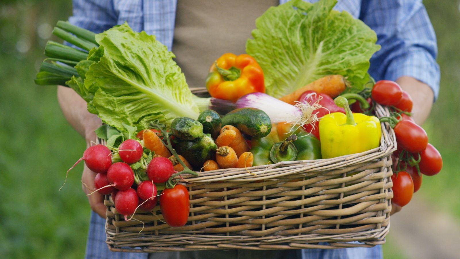 A close-up shot of a person holding a wicker basket filled with freshly harvested crops, showcasing when to plant fall garden crops