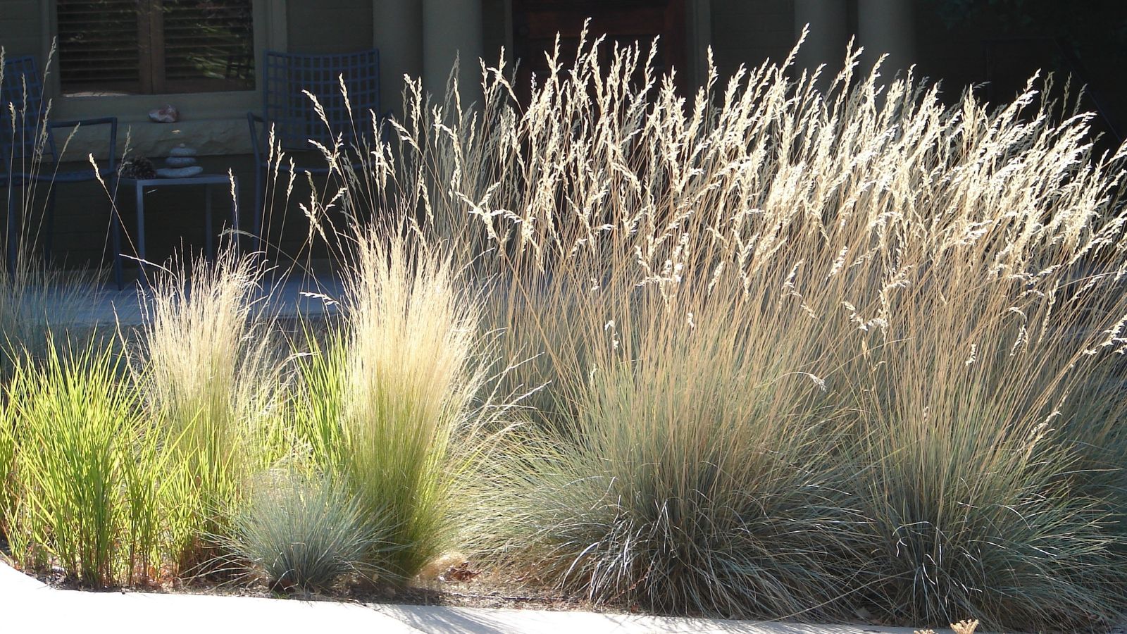 A close-up shot of a small composition of developing plants placed in a landscaped garden border outdoors
