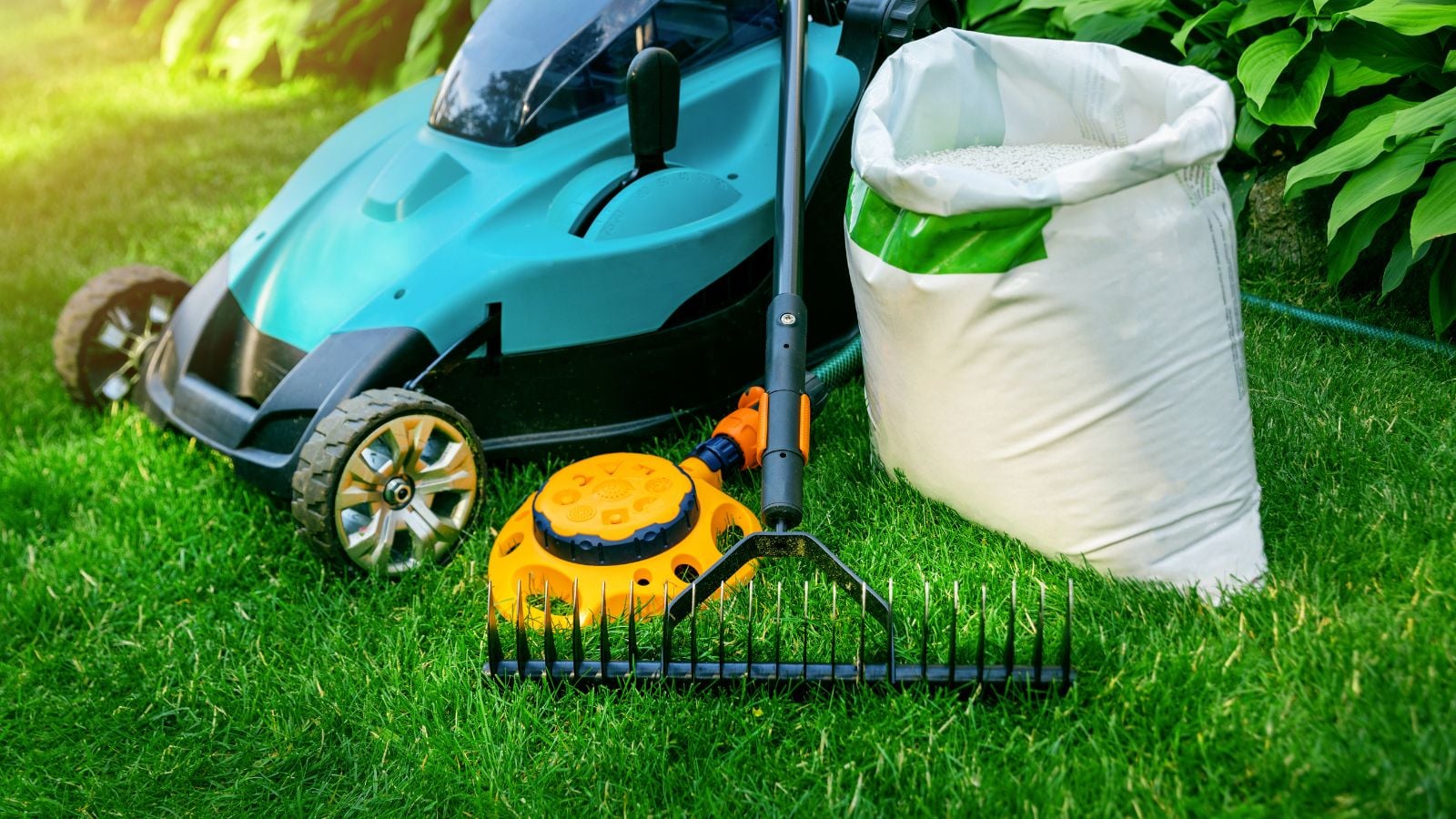 A close-up shot of several tools and equipment placed in a garden area, showcasing proper august lawn care
