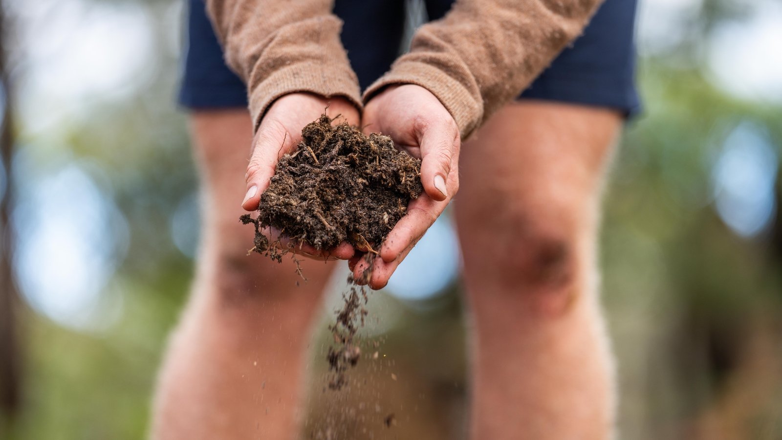 Gardener holds a clump of aggregation soil made up of small, crumbly granules bound together with organic matter.
