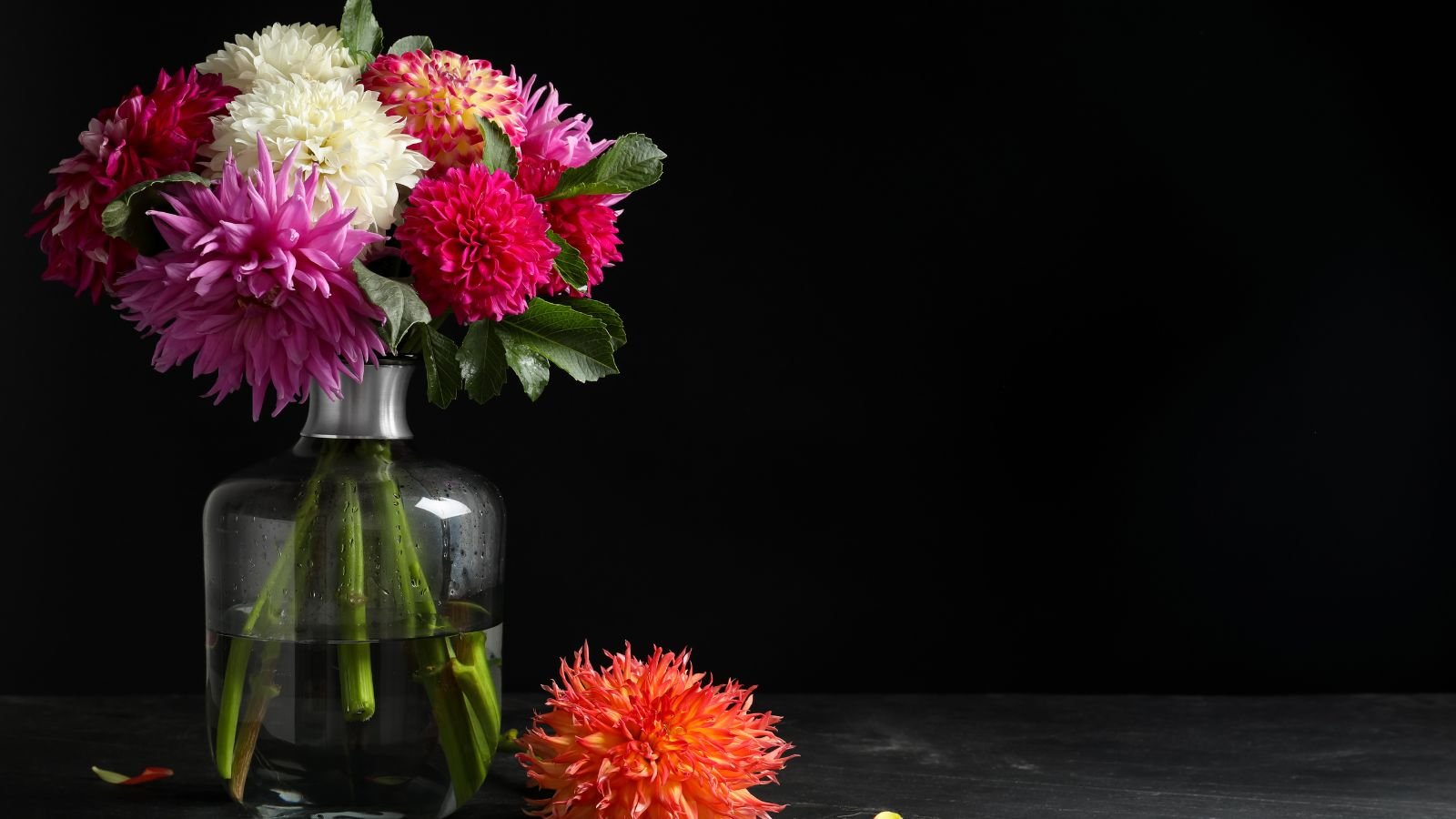 An isolated shot of glass container filled with water with several cuttings of a flower