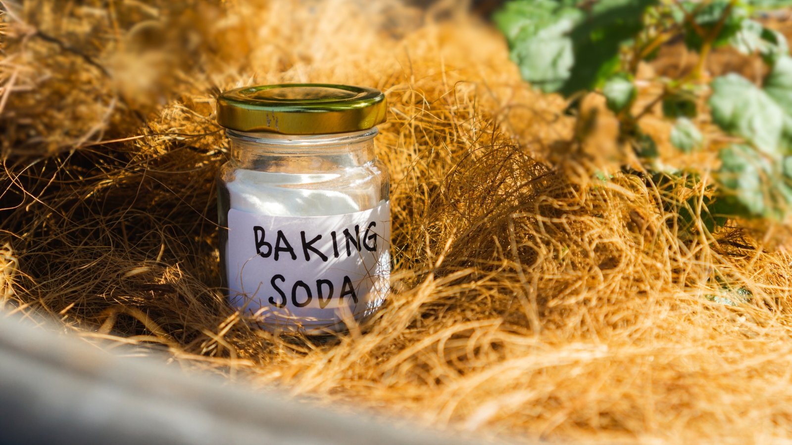 A small glass jar of baking soda and a large sticker with a signature stands on a bed mulched with dry grass.