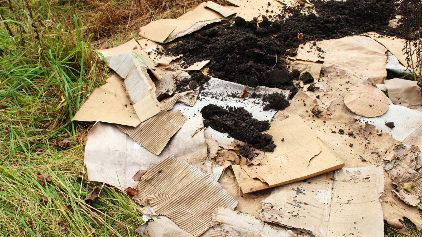 Cardboard pieces with black soil and compost are laid on top of the green lawn to prevent it from growing.